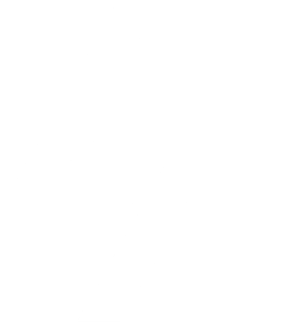 LT Visual Media logo