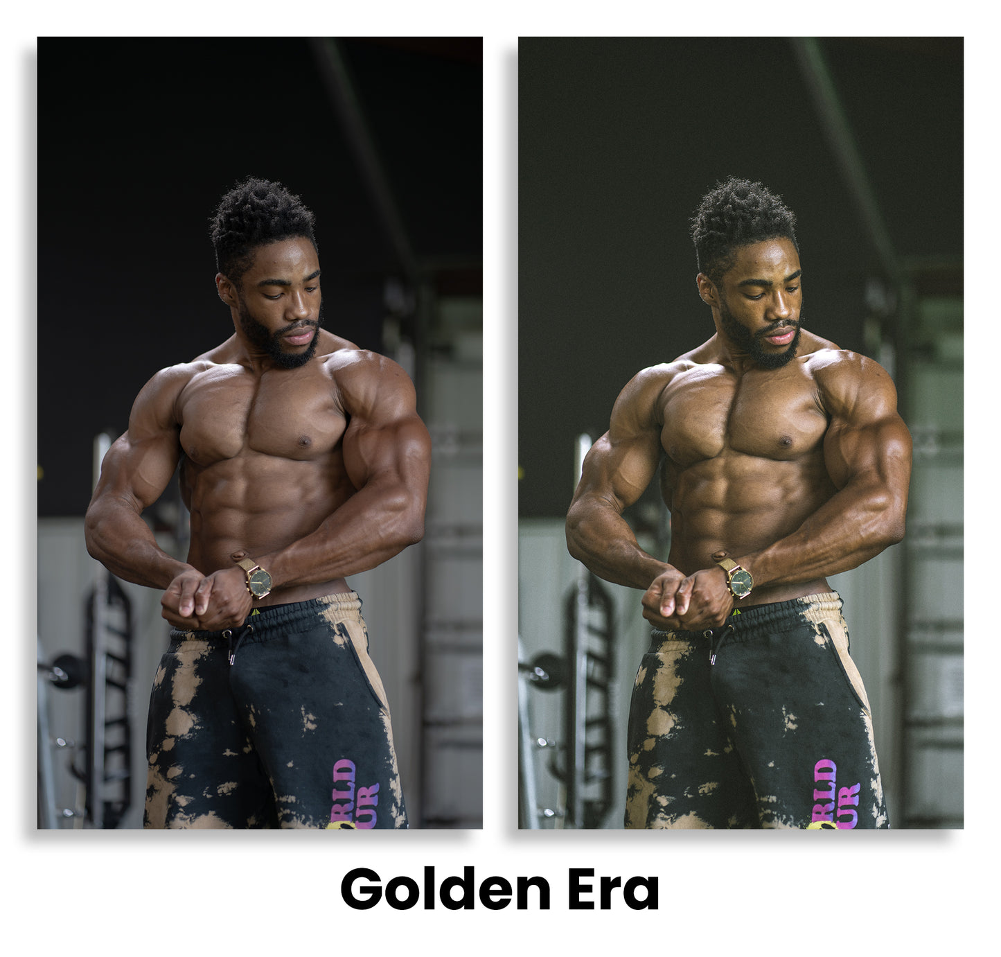 LT Fitness Preset Pack Vol. 1