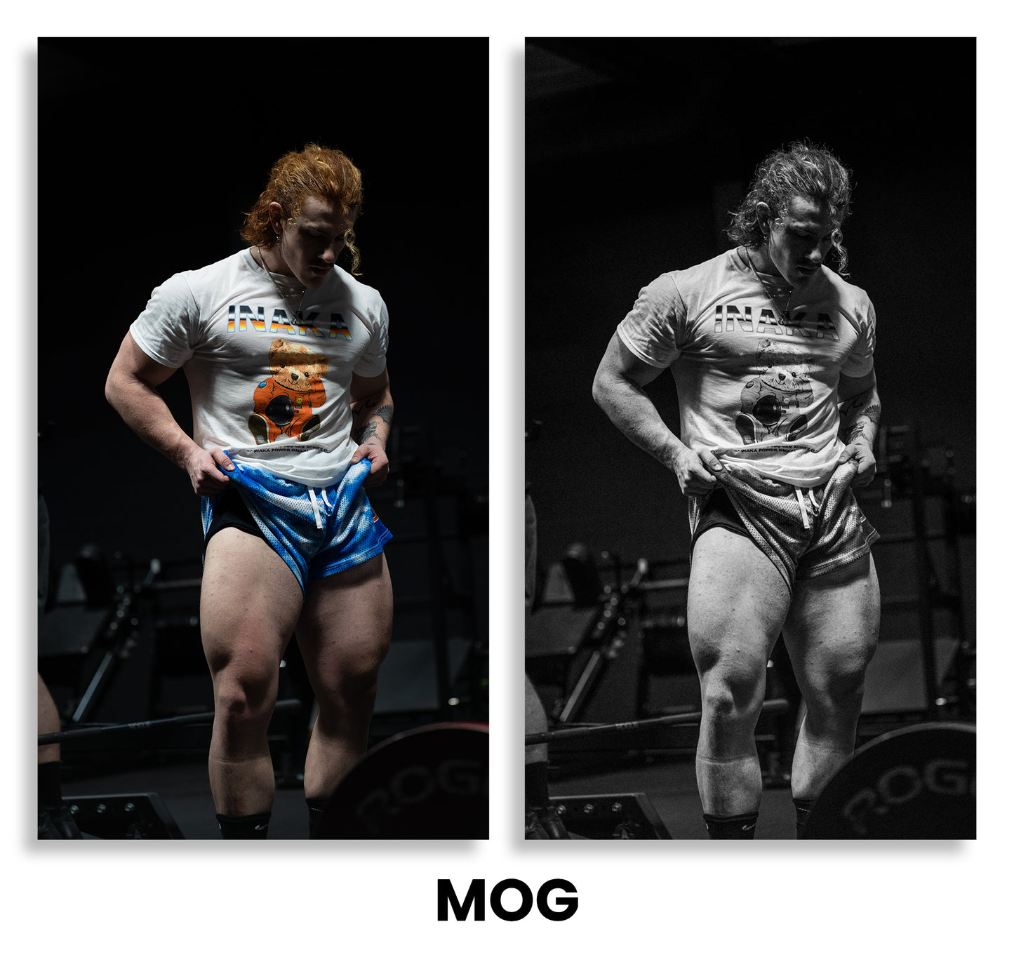 ALL OF MY LIGHTROOM PRESETS (37 PRESETS)