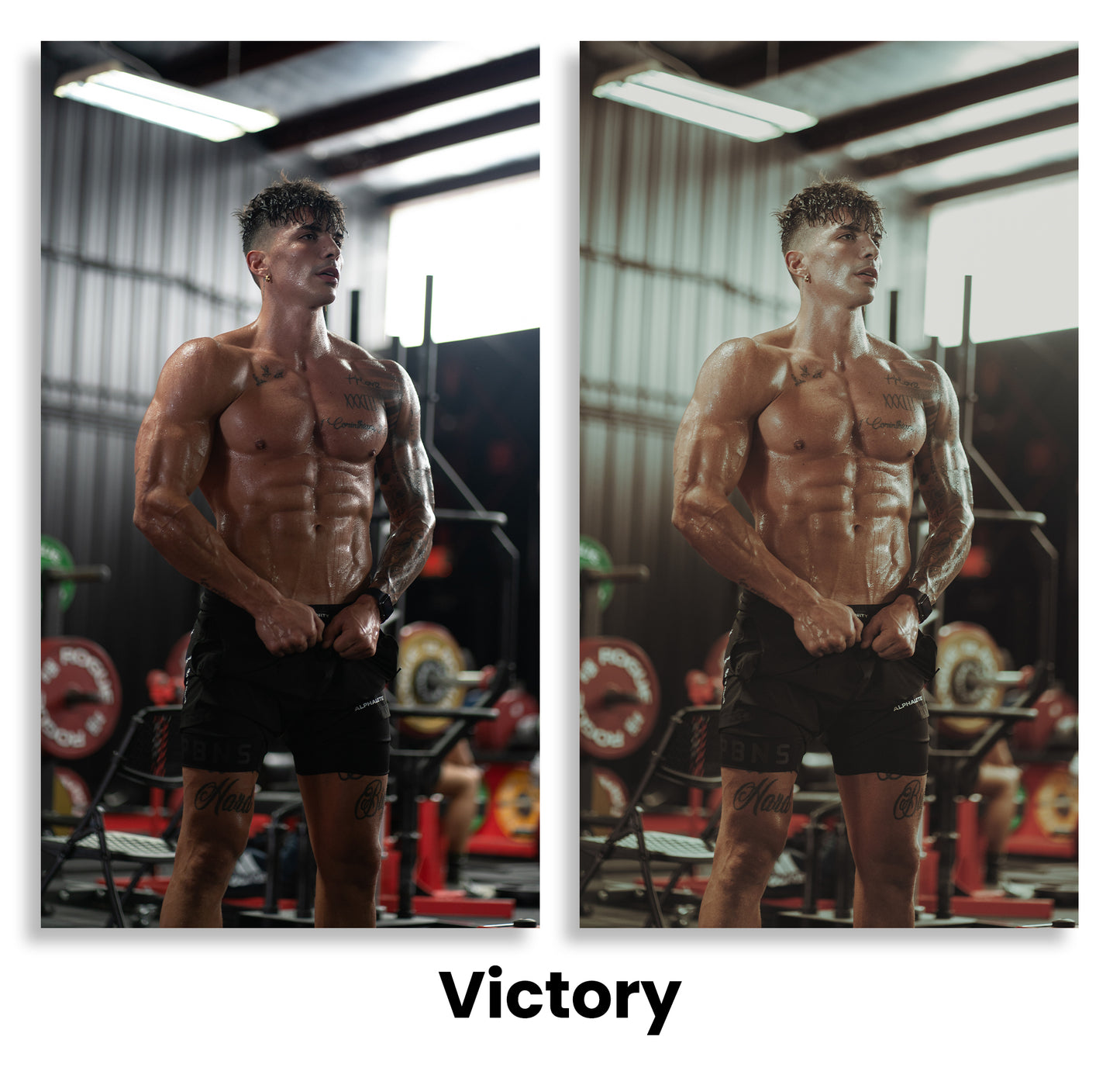 LT FITNESS PRESET PACK VOL. 2