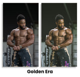 LT Fitness Preset Pack Vol. 1
